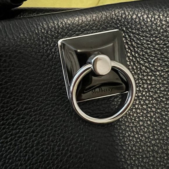 Mulberry Iris - Picture 7 of 12